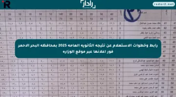 رابط وخطوات الاستعلام عن نتيجة الثانوية العامة 2025 بمحافظة البحر الأحمر فور إعلانها عبر موقع الوزارة